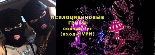 спиды Арсеньев