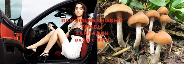 спиды Арсеньев