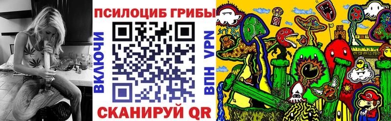 Галлюциногенные грибы MAGIC MUSHROOMS  кракен зеркало  Чадан 