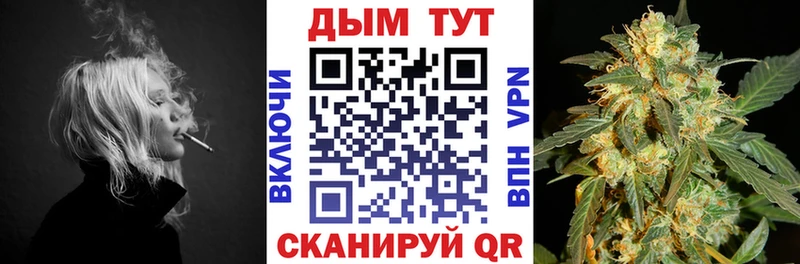 наркотики  Чадан  Марихуана семена 